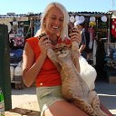  , -, 43  -  13  2025    