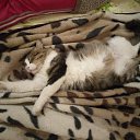 ���� ������, ������, 42 ���� - ��������� 1 ���� 2025