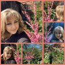 ���� �������, ��������� - ��������� 10 ��� 2026 � ������ ������ ��������