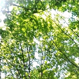 ���� ����, �����, 38 ��� - ��������� 23 ���� 2024