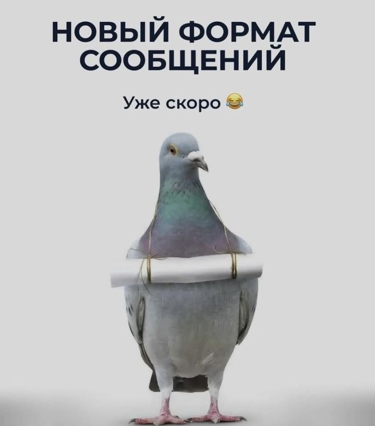 ������������� ���� - 6 ����� 2026 � 20:40