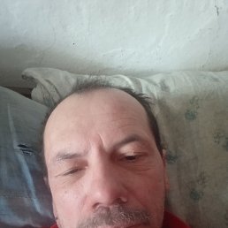 , 51, 