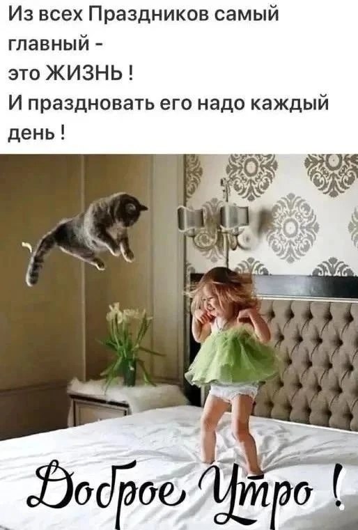 ������ - 6 ������� 2026 � 11:24