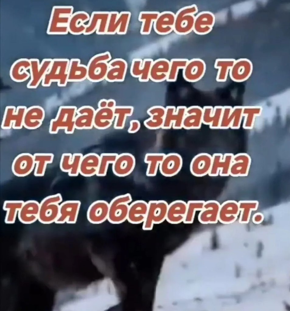��� ���� - 13 ����� 2026 � 23:22