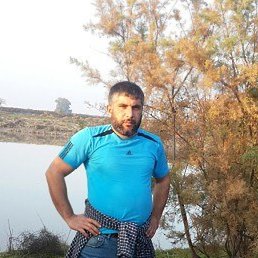 S, ����, 44 ����