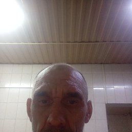 ������� �����������, �������������, 40 ���