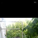 ���� �����, ������, 46 ��� - ��������� 15 ���� 2025 � ������ ���� ����������