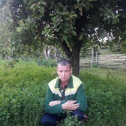 ���� ������ �������, ������, 54 ���� - ��������� 1 ���� 2025