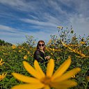 ���� �����, ����������, 35 ��� - ��������� 4 ������ 2026 � ������ ���� ����������