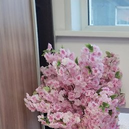 Regina, �������, 41 ���