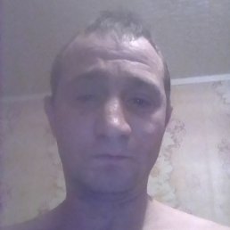 �������, ������, 38 ���