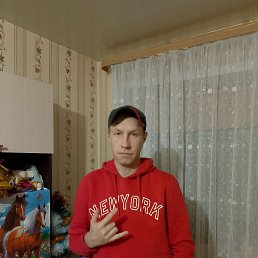�����, 40 ���, �������