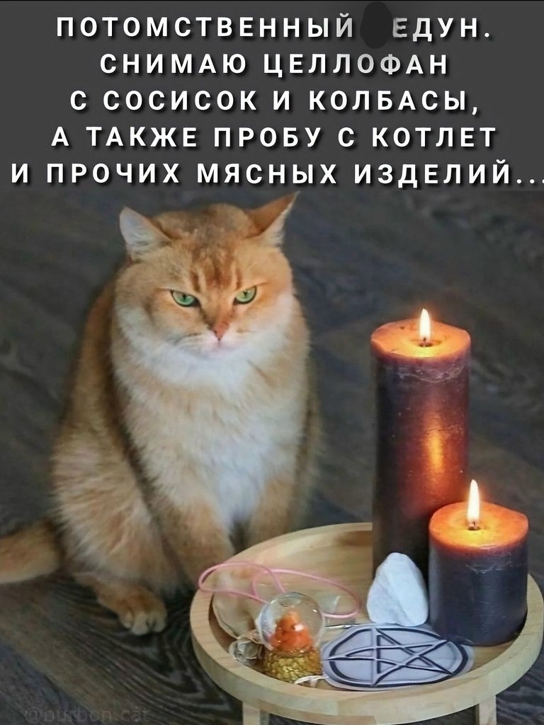 ��� ���� � ����� �� �� - 22 ��� 2026 � 20:25