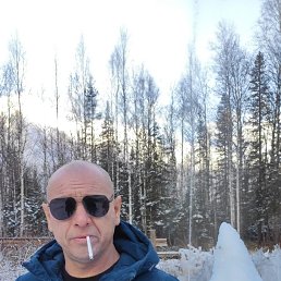, 43 , 
