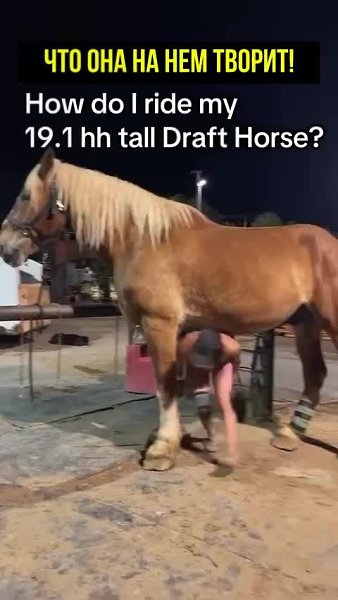 ��� ��� ����� ��������� ��� ���� ����� ��������?
