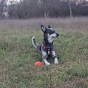 ���� �������, �����������, 49 ��� - ��������� 21 ������� 2025