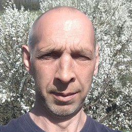 , , 48 