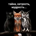���� ������, ���������, 56 ��� - ��������� 28 ��� 2025 � ������ ������ ��������