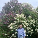 ���� ������, ����-���������, 61 ��� - ��������� 8 ������� 2026