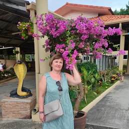 ���� ����, �����������, 60 ��� - ��������� 25 ������ 2024