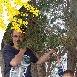 ������ � �����, ���������, 31 ���