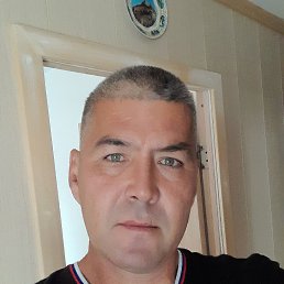 , 51, 