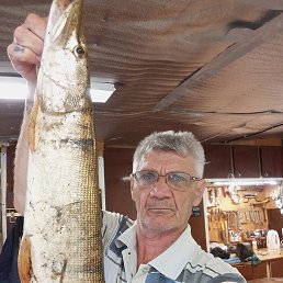 , 55, 