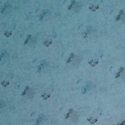 �������, 44 ����, �����-���������