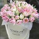 ���� Ana Sof&iacute;a, ��������, 32 ���� - ��������� 4 ������� 2025 � ������ ���� ����������