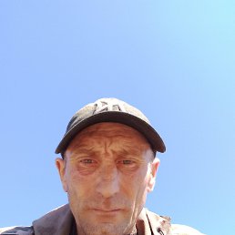 , 41 , 