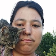 , 37 , 