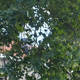 Фото Алексей, Петрозаводск, 48 лет Алексей, Петрозаводск, 48 лет