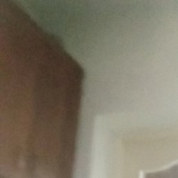 ����, �������, 55 ���