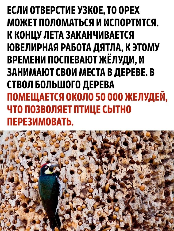       - 3