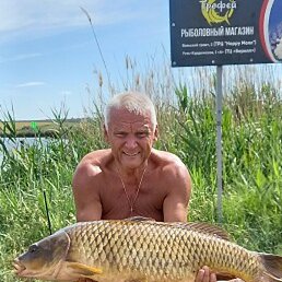 ���������, �������, 60 ���