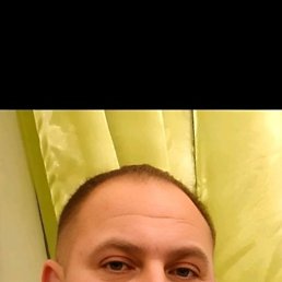 �����, 40 ���, ���������