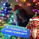 ���� ����� ���������, �����-���������, 33 ���� - ��������� 19 ������ 2024 � ������ ���� ����������