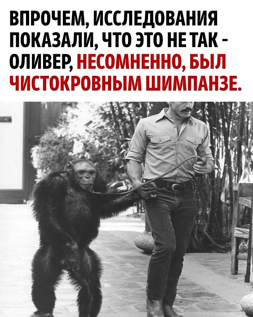 ������ - ��������� ������� ��������������! - 3