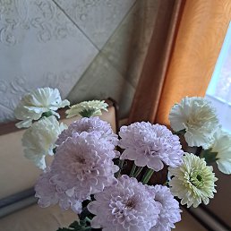 ���� �����, �������� - ��������� 18 ������� 2026