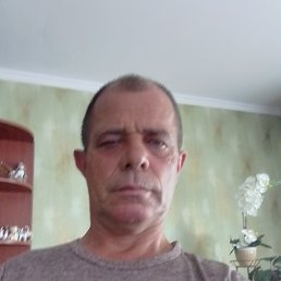, 53 , 