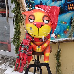 The Cat, �������, 53 ����