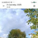 ���� Lida, �����������, 57 ��� - ��������� 21 �������� 2025 � ������ ���� ����������