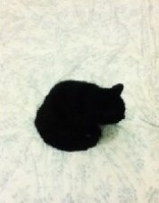 Ka ca o, aoe oco - 4