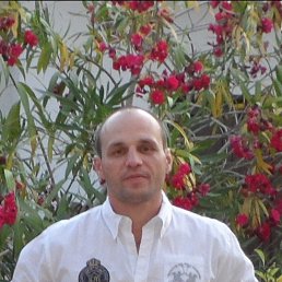 ��������, 37 ���, ������