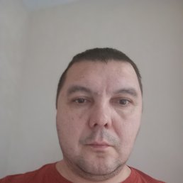 �����, 41 ���, ������