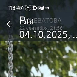 �����, ���������, 48 ���