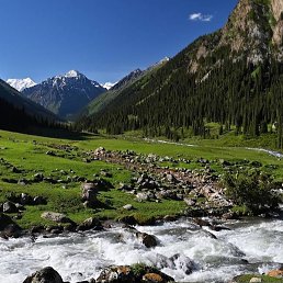 �����, ������, 44 ����