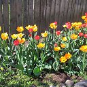 ���� �������, �������� - ��������� 29 ������ 2024 � ������ ���� ����������