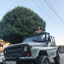 ��������, 29 ���, ������