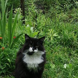 ���� ����, ���������, 50 ��� - ��������� 18 ��� 2024